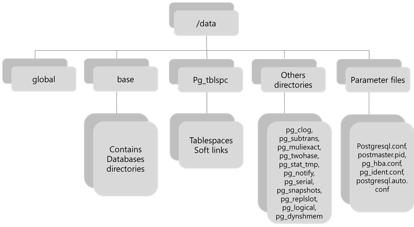 Postgresql 아키텍처 및 특징. | DataEngineer